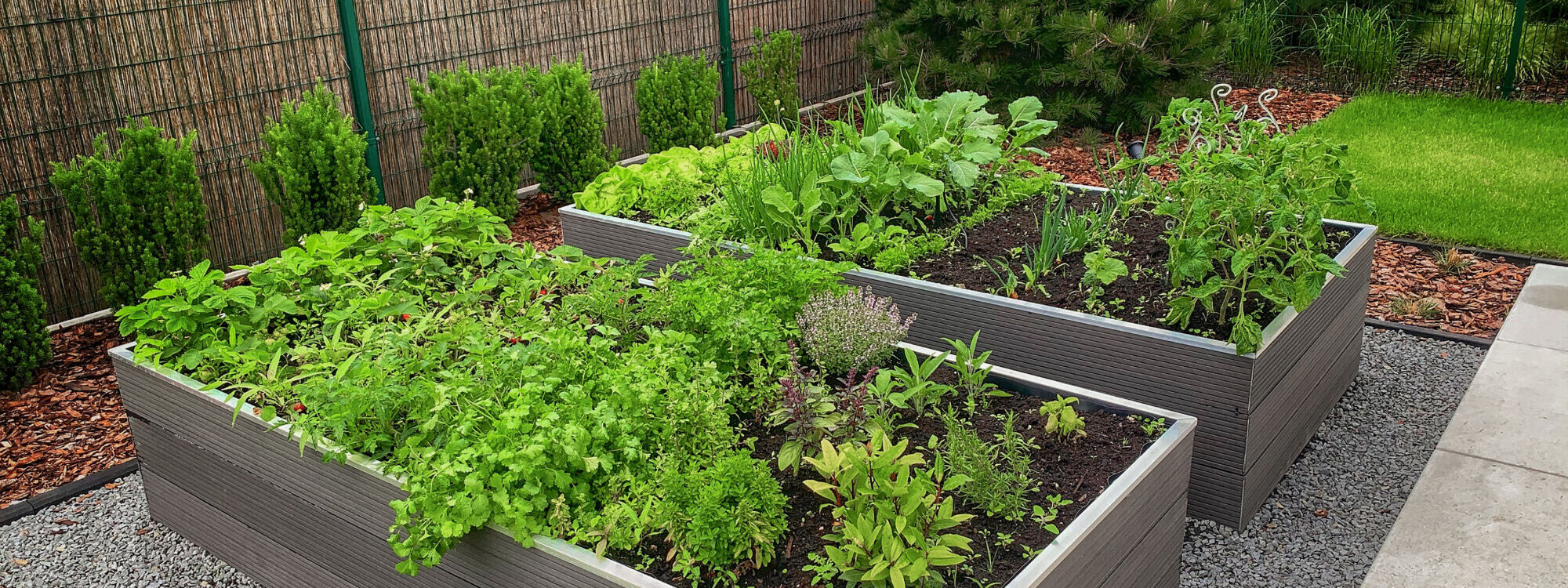 BACS POTAGER 2000X750 | Le Journal de Marsel (JDM Éditions) Faire ses bacs potager sois même Wintzenheim