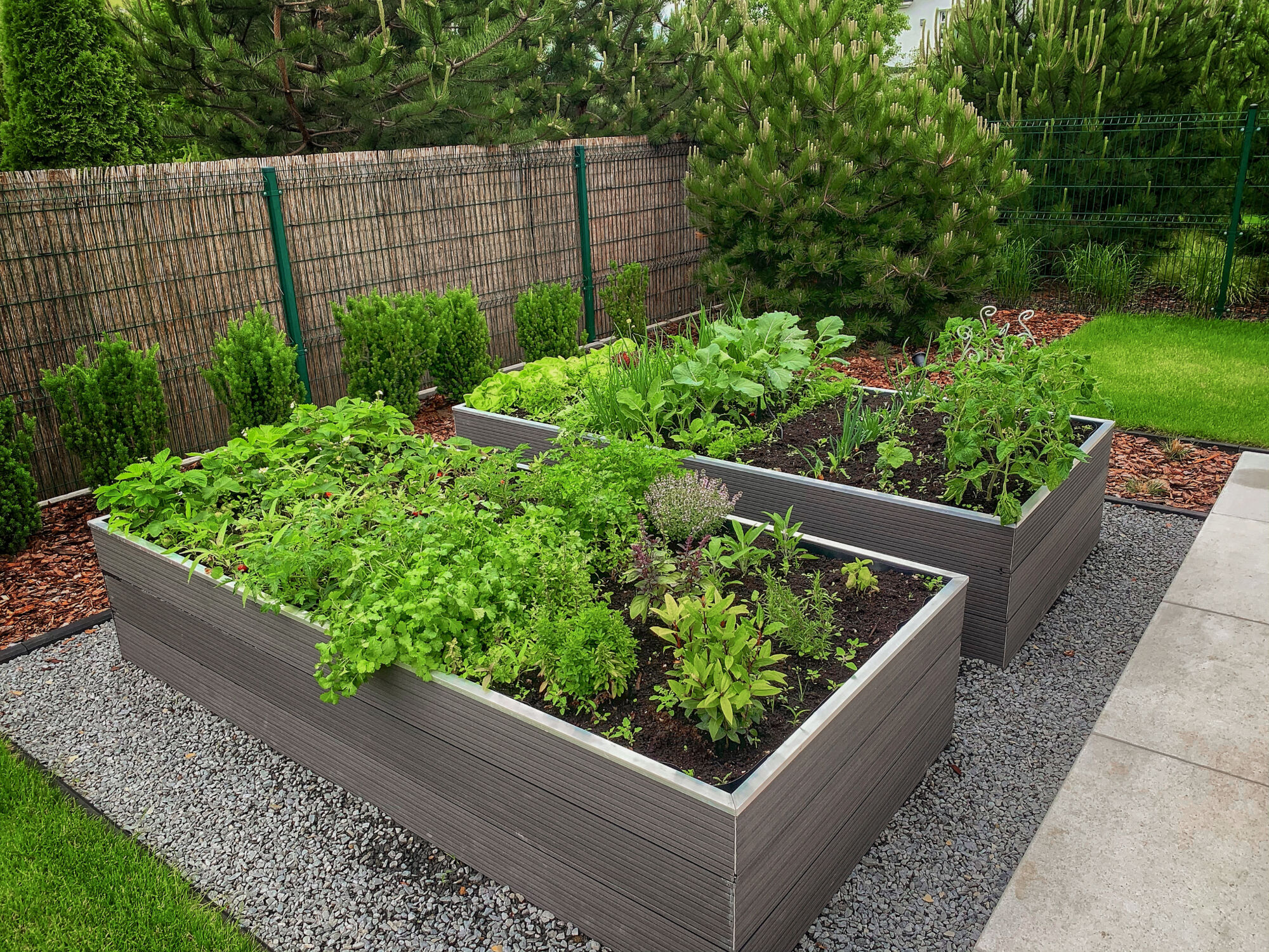 BACS POTAGER | Le Journal de Marsel (JDM Éditions) Faire ses bacs potager sois même Wintzenheim
