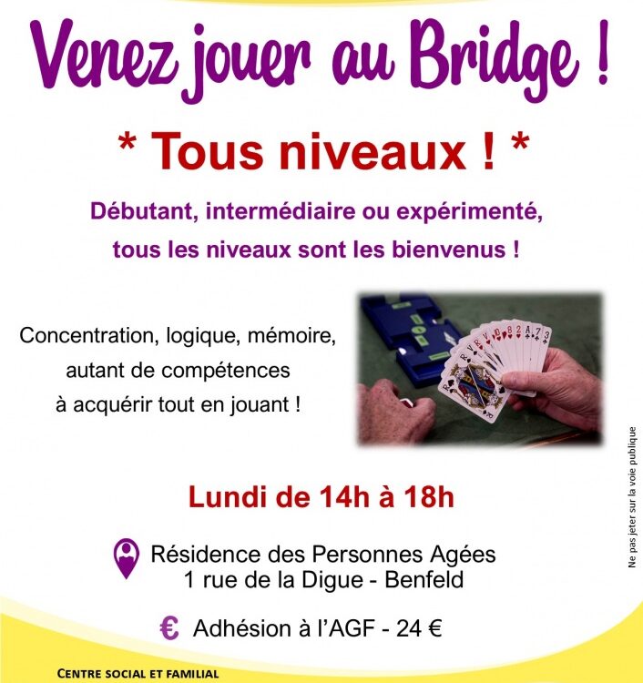 BRIDGE BENFELD 706X750 | Le Journal de Marsel (JDM Éditions) Bridge Colmar