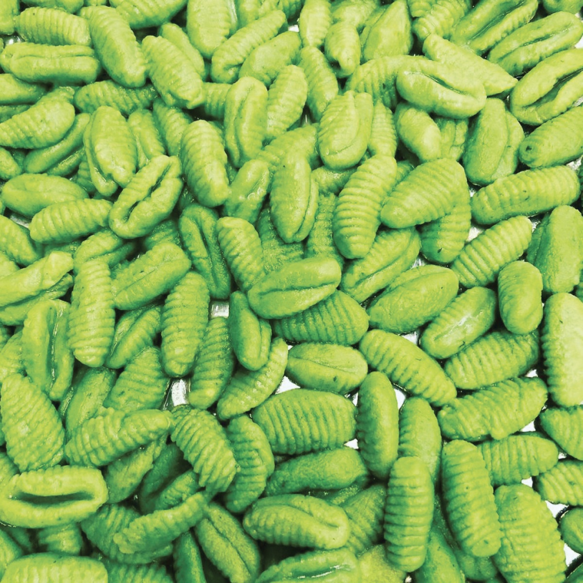 GNOCCHI AIL OURS | Le Journal de Marsel (JDM Éditions) Gnocchis de pomme de terre à l’ail des ours Obernai