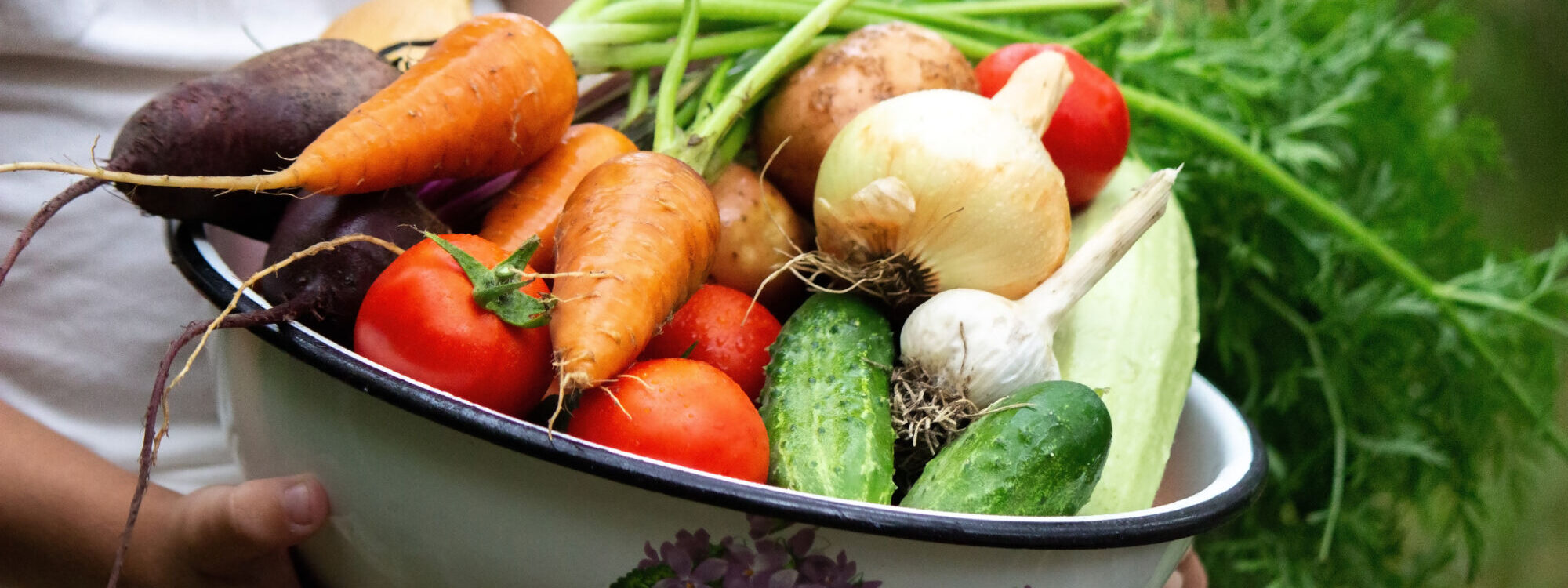 Trucs et astuces pour le jardin potager Wintzenheim