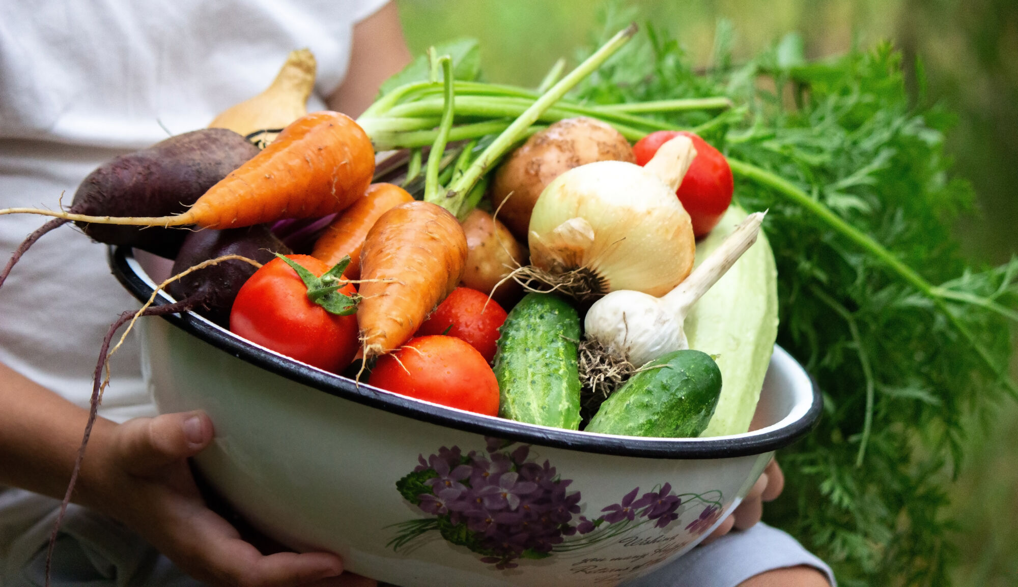 Trucs et astuces pour le jardin potager Wintzenheim