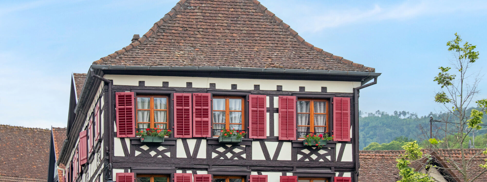 MAISON ALSACE 2000X750 | Le Journal de Marsel (JDM Éditions) Cure Castor Wintzenheim