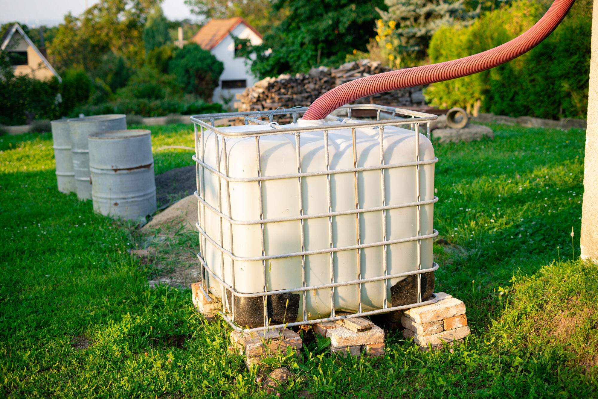 RECUPERATEUR EAU | Le Journal de Marsel (JDM Éditions) Faut-il installer un récupérateur d’eau en hiver ? Sainte-Marie-aux-Mines