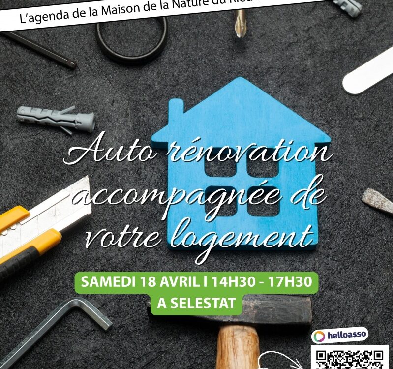 Auto r&eacute;novation accompagn&eacute;e de votre logement Barr