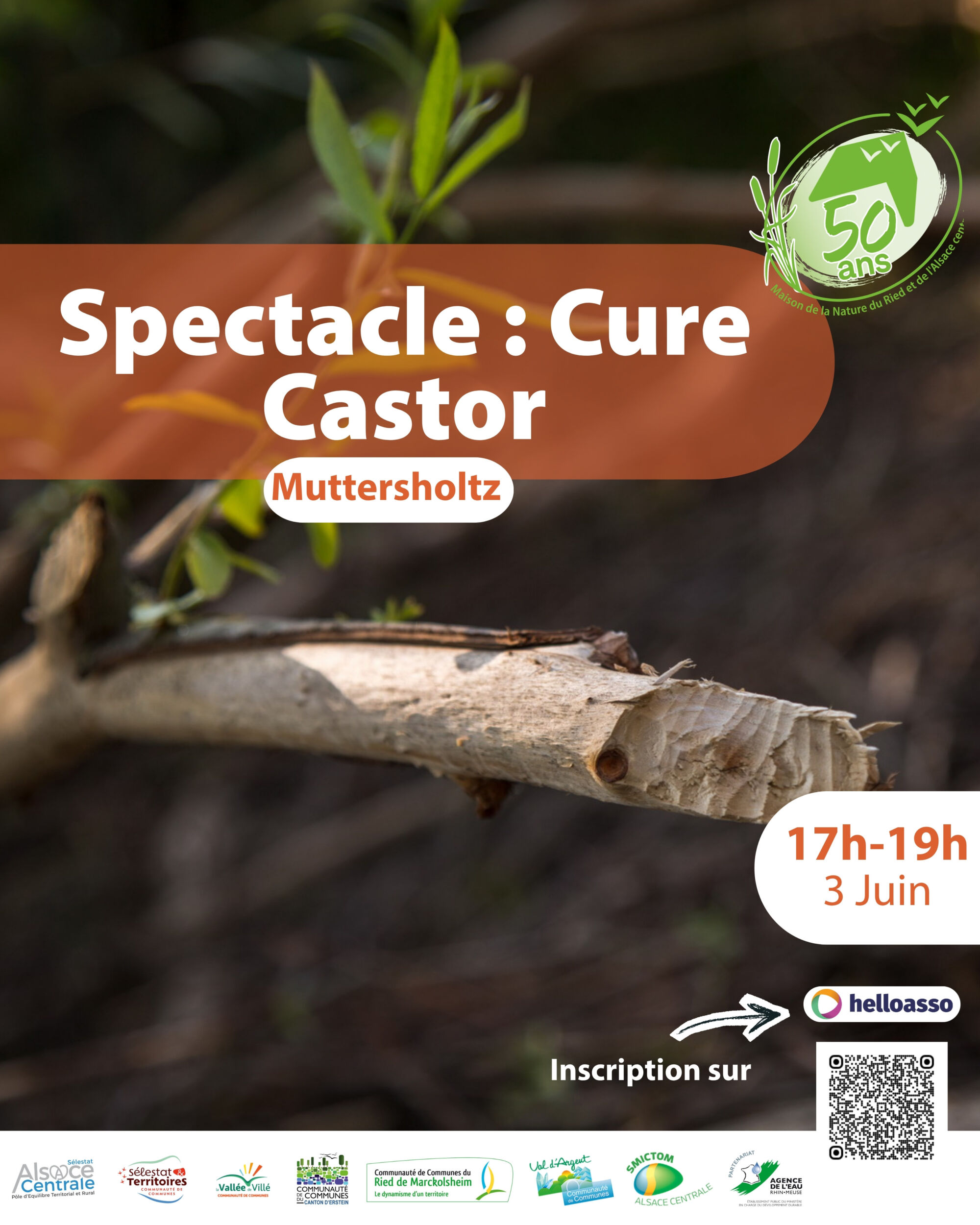 AFFICHE CURE CASTOR 030626 1 | Le Journal de Marsel (JDM Éditions) Cure Castor Wintzenheim 0