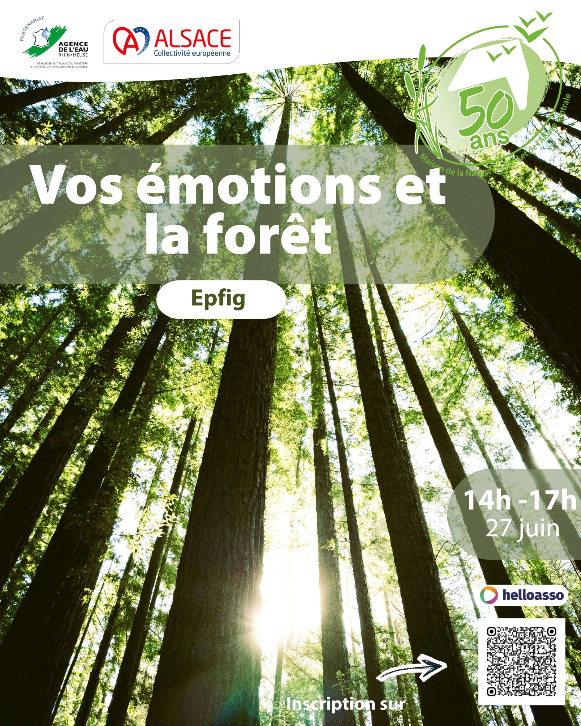 AFFICHE EMOTION FORET 270626 | Le Journal de Marsel (JDM Éditions) Vos émotions et la forêt Fegersheim 0