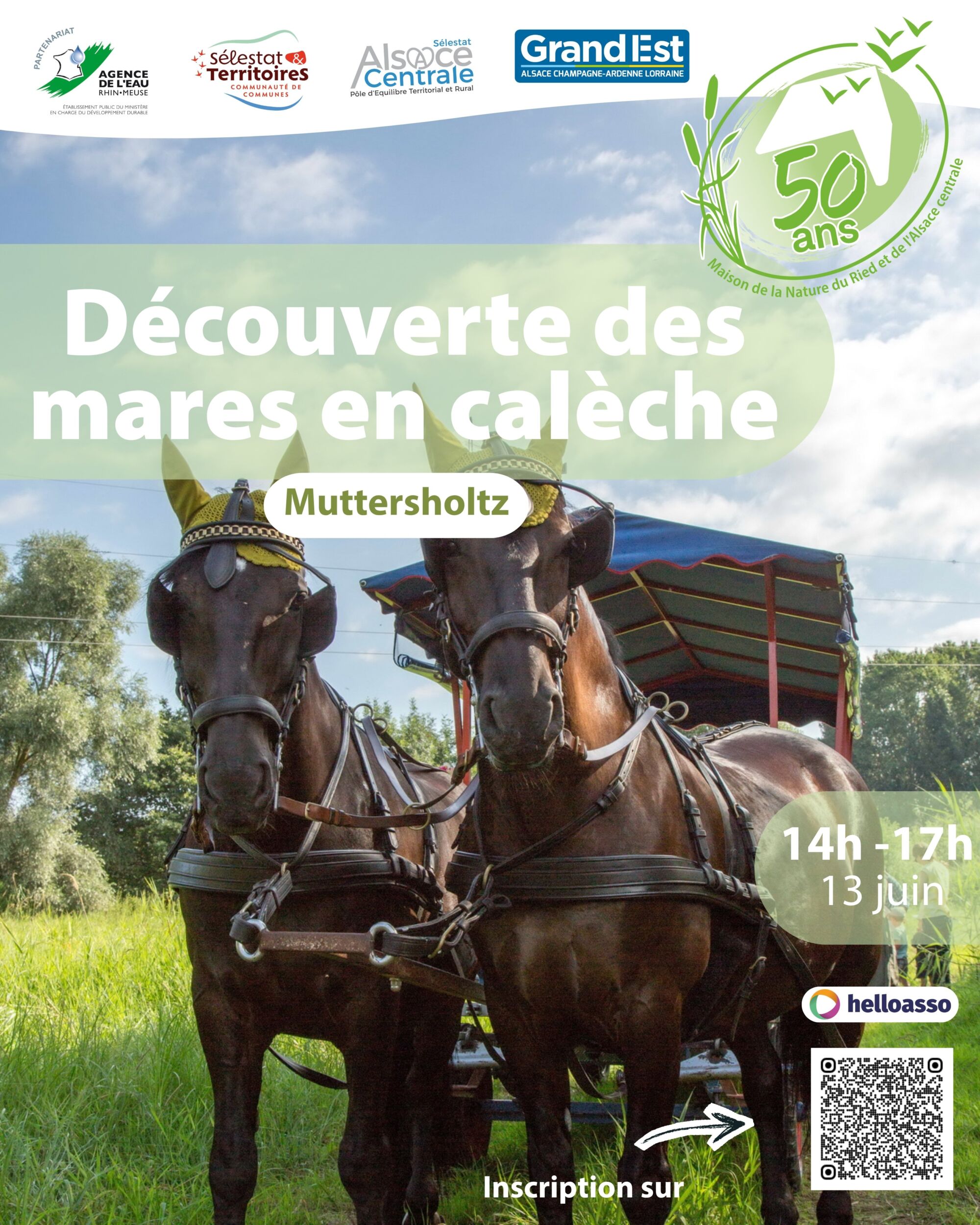 AFFICHE MARE CALECHE 130626 | Le Journal de Marsel (JDM Éditions) Découverte des mares en calèche Fegersheim 0