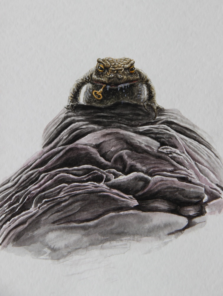 Exposition d'aquarelle : entre légendaire et réalisme