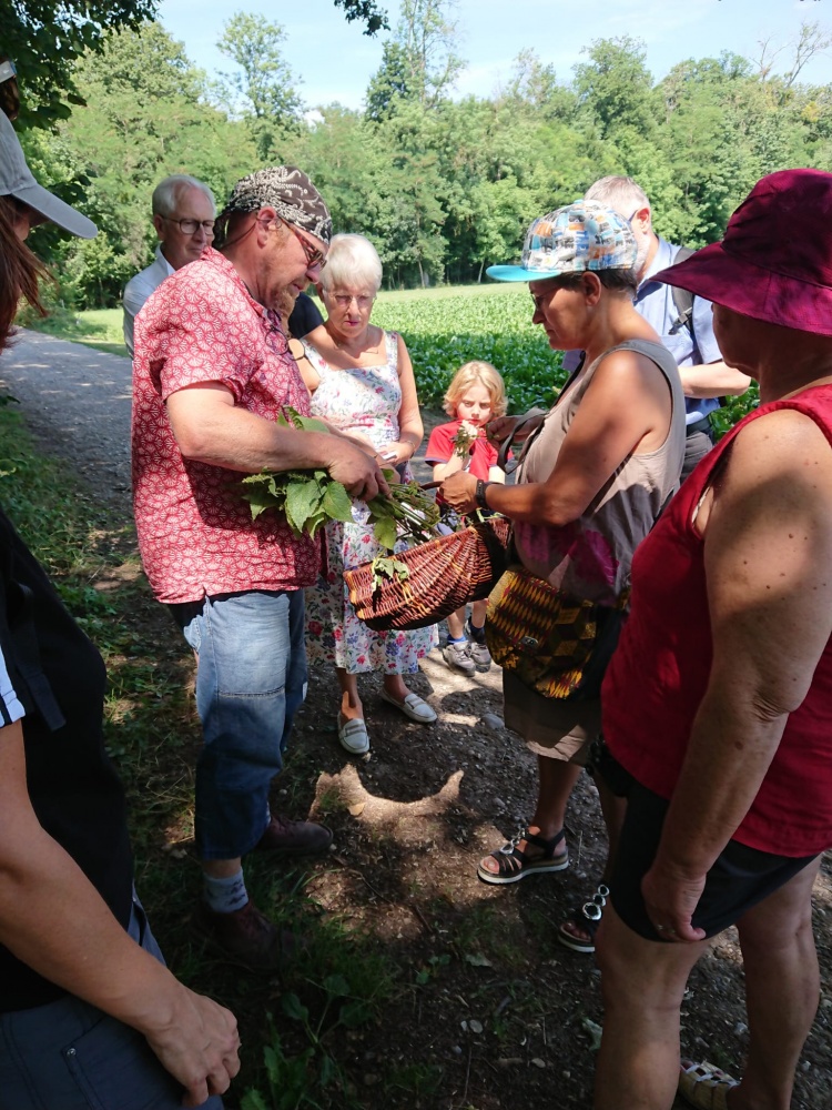 Cuisine sauvage sur votre territoire