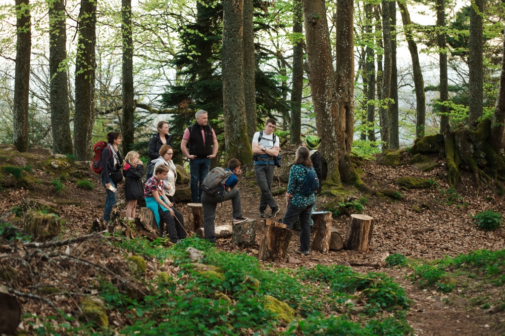 L’éveil de la forêt
