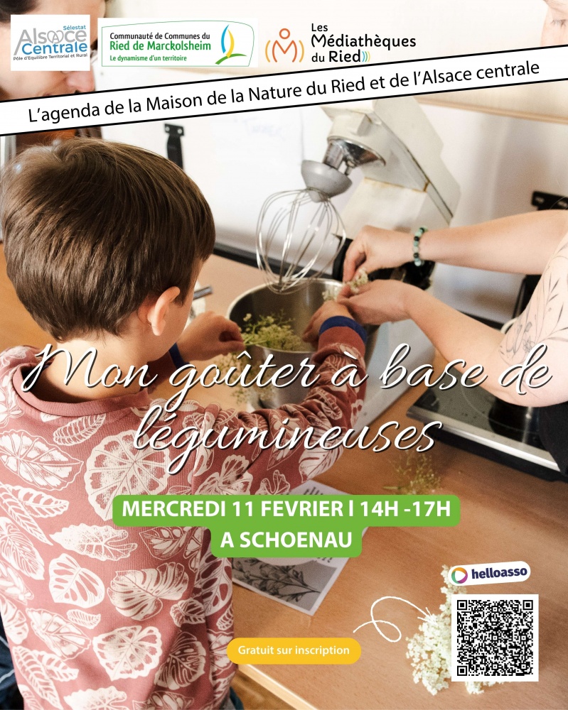 Mon goûter à base de légumineuses, avec ou sans gluten ?