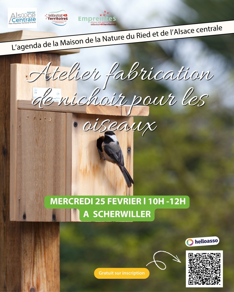 Atelier fabrication de nichoir pour les oiseaux