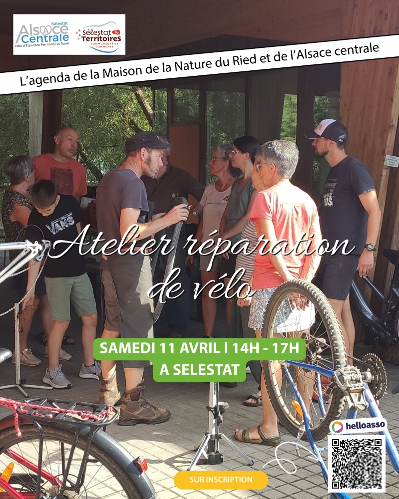 Atelier réparation vélo