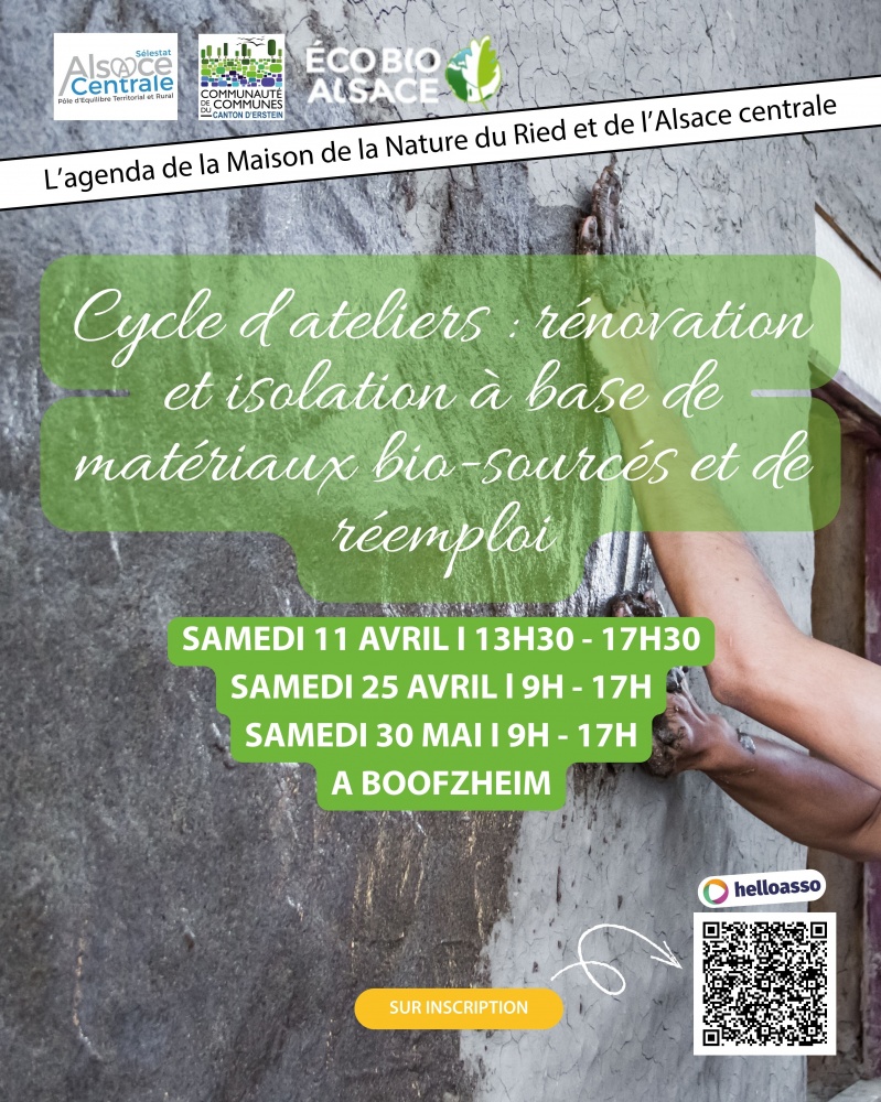 Cycle d'ateliers : rénovation et isolation avec matériaux bio-sourcés