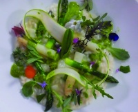 Risotto aux asperges et à l’ail des ours, vinaigrette aux herbes Quelques herbes sauvages et de culture