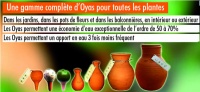 Les OYAS® : qu’est ce que c’est ?