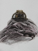 Exposition d'aquarelle : entre légendaire et réalisme