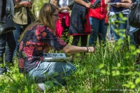 Les plantes dans tous leurs états